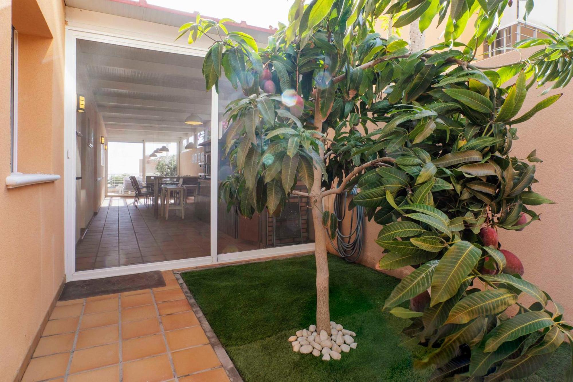 My Island Escape - Sea Views - Private Pool, Sauna Puerto de Santiago  Extérieur photo